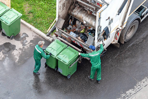 Yard Cleanup Services in Luxemburg, WI